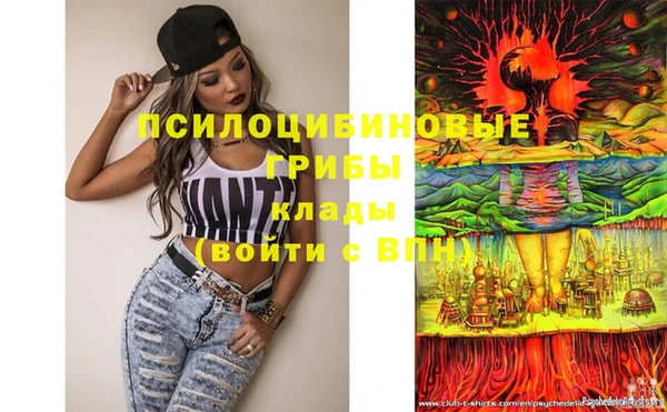 молекула духа Алексин