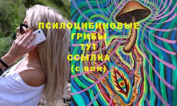 молекула духа Алексин