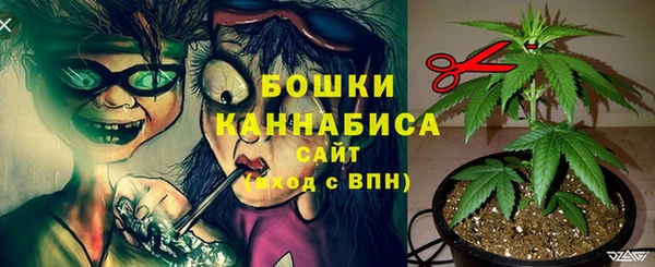 ешки Алексеевка