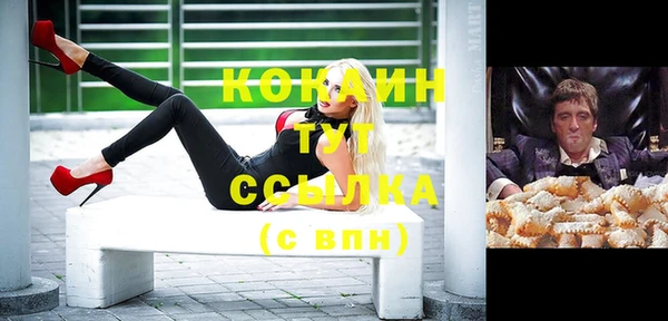 молекула духа Алексин
