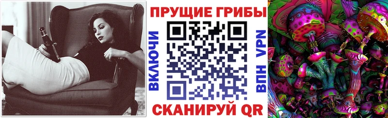 хочу наркоту  Тогучин  Галлюциногенные грибы прущие грибы 
